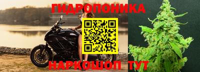 гашик Славянск-на-Кубани
