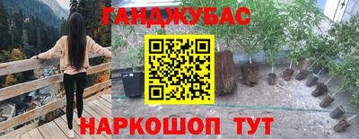 гашик Славянск-на-Кубани