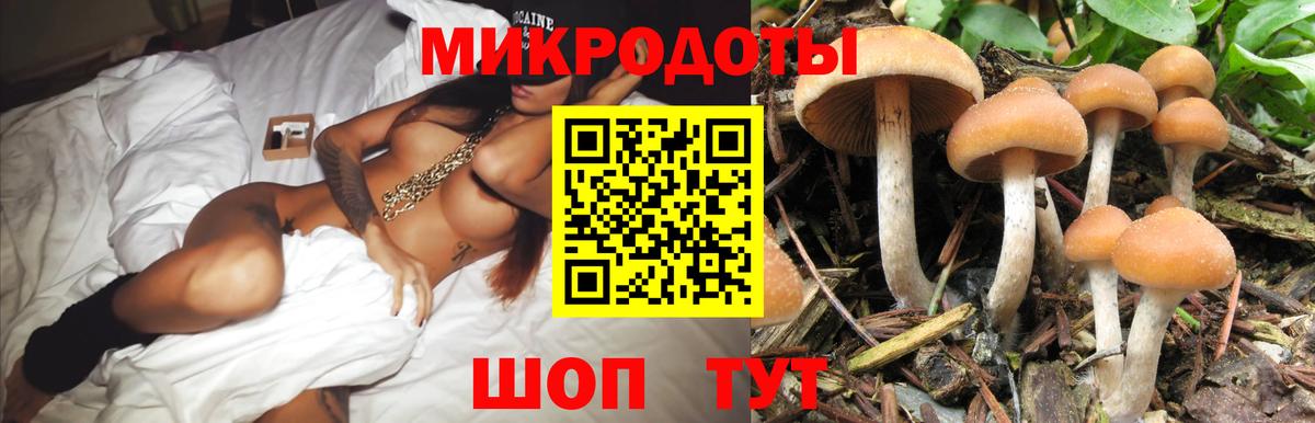 Нарткала  наркотики  Вход с VPN  Псилоцибиновые грибы Psilocybine cubensis  Псилоцибиновые грибы MAGIC MUSHROOMS 