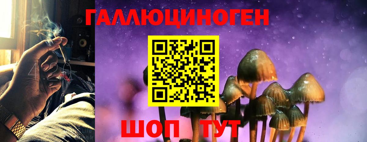 Псилоцибиновые грибы Magic Shrooms Нарткала